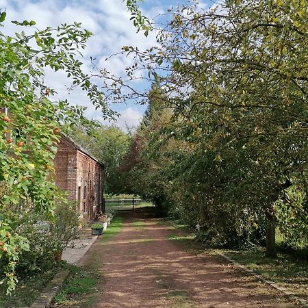 La Chaumiere Du Tordoir Bed & Breakfast Les Rues-des-Vignes Luaran gambar